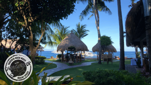 Philippinenreise Visaya mit SeaExplorers 2025