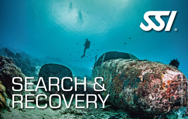 SSI Search & Recovery Theorie